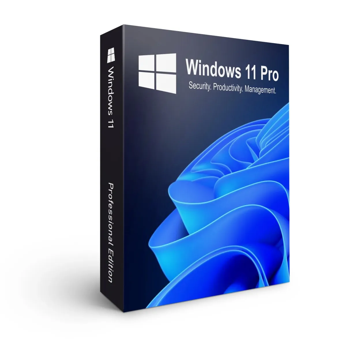 Microsoft® Windows 11 Pro, 64-bit, Angol, USB