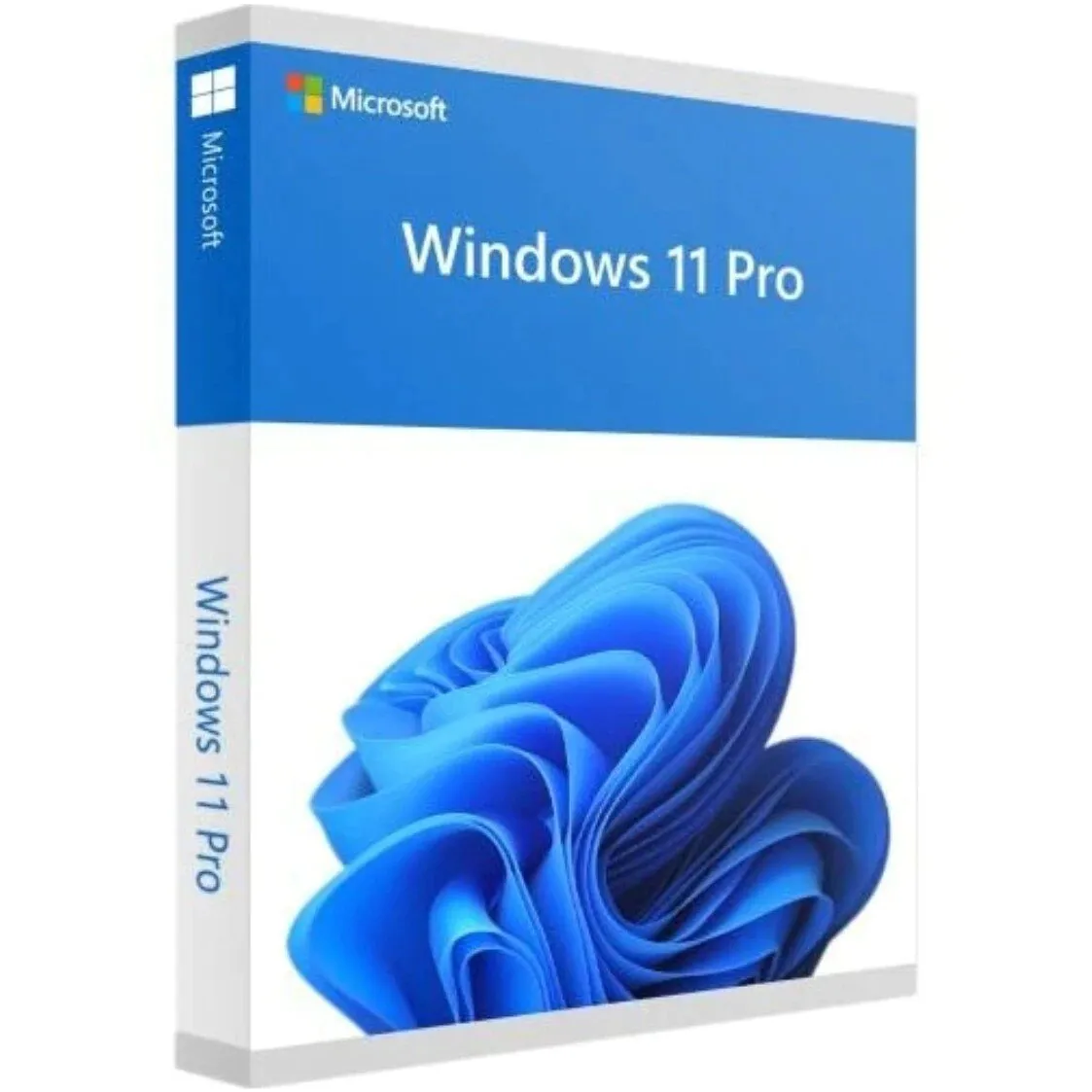 Microsoft Windows 11 Pro licenc, USB