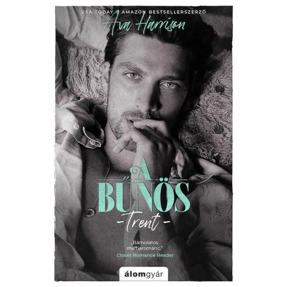 Ava Harrison - A bűnös