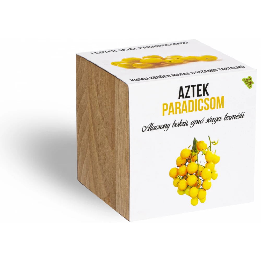 Azték paradicsom növényem fa kaspóban