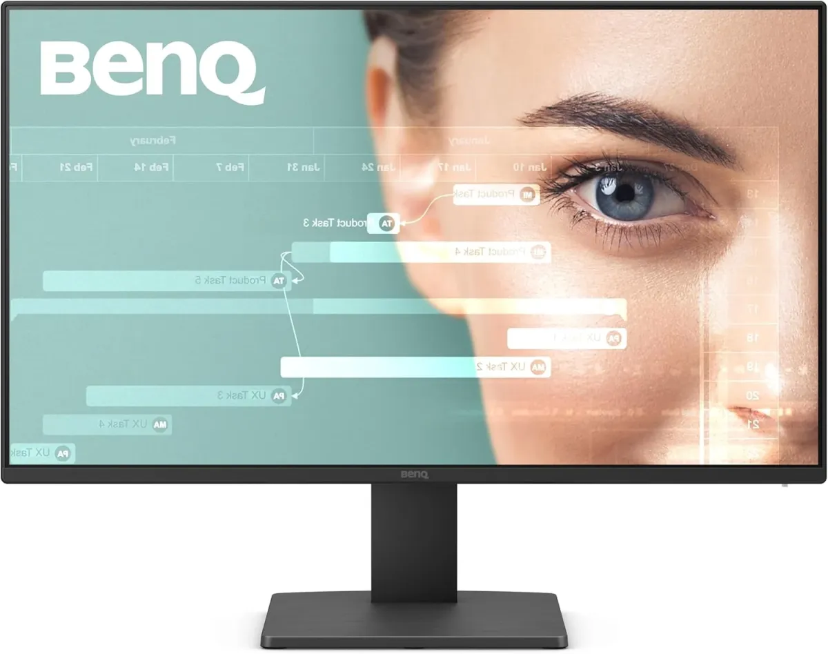 BENQ GW2491