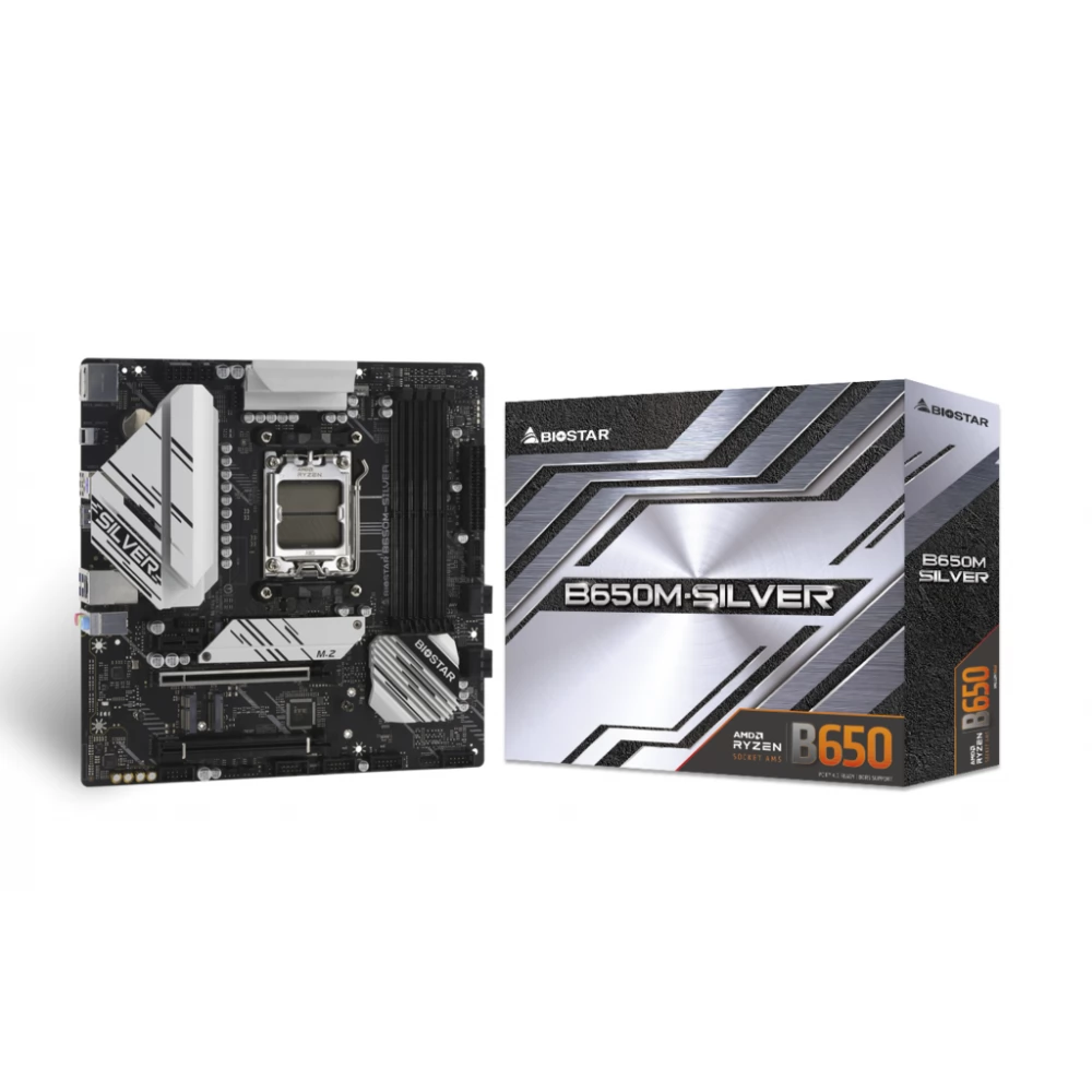 BIOSTAR B650M-SILVER Ver. 5.x