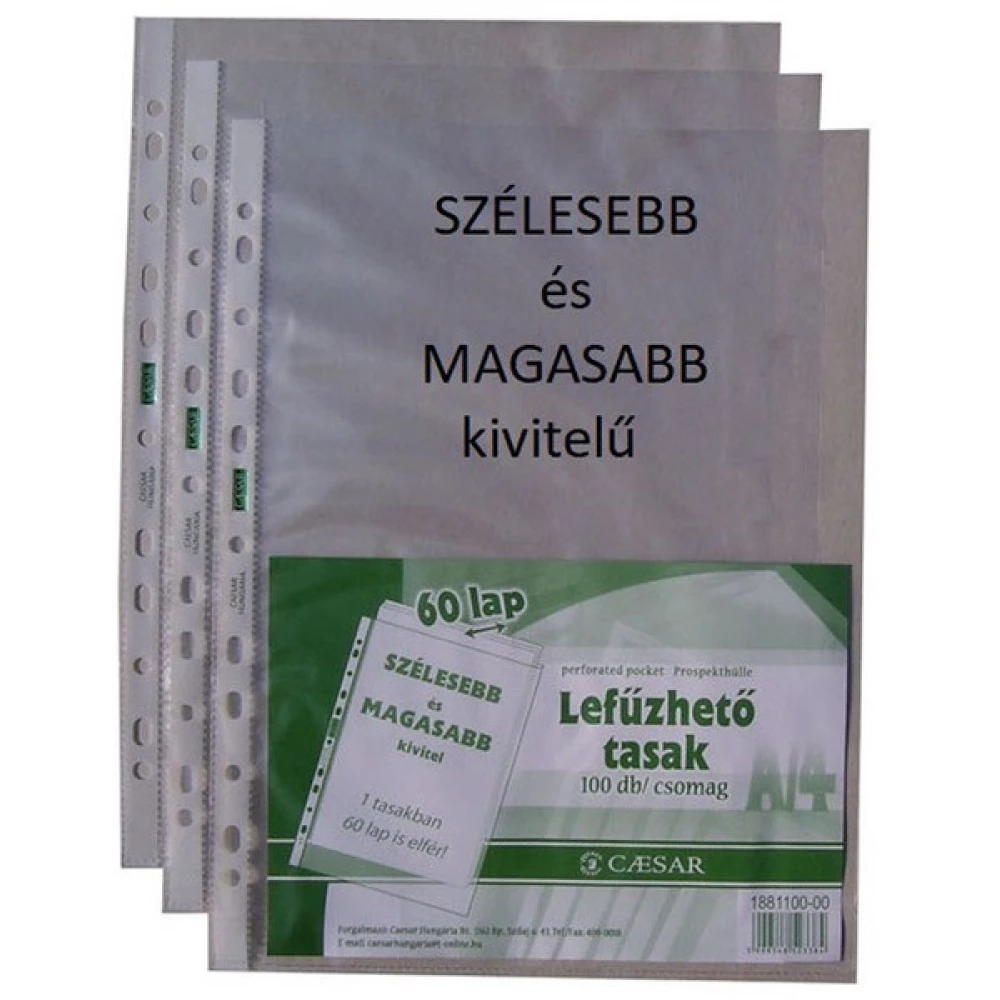 CAESAR A4 XL+ Genotherm lefűzhető tasak 100db