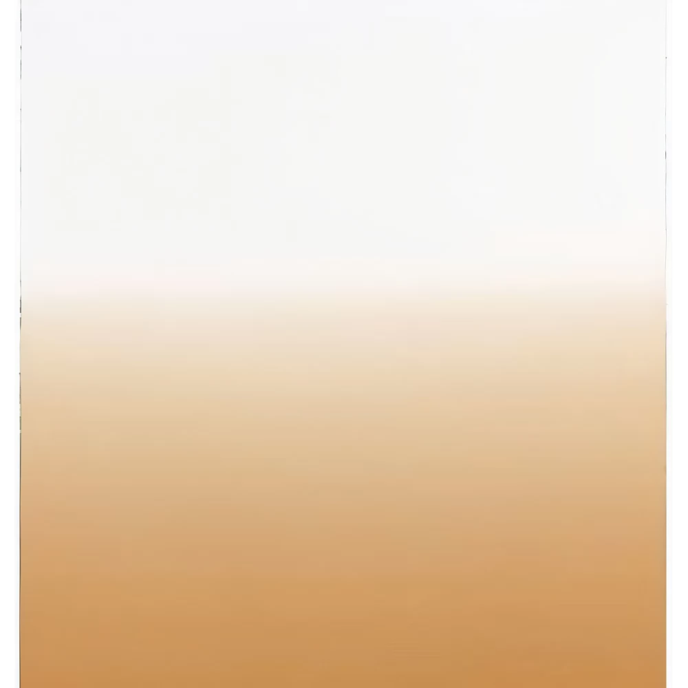 COKIN Átmenetes lapszűrő tobak T2 Light S