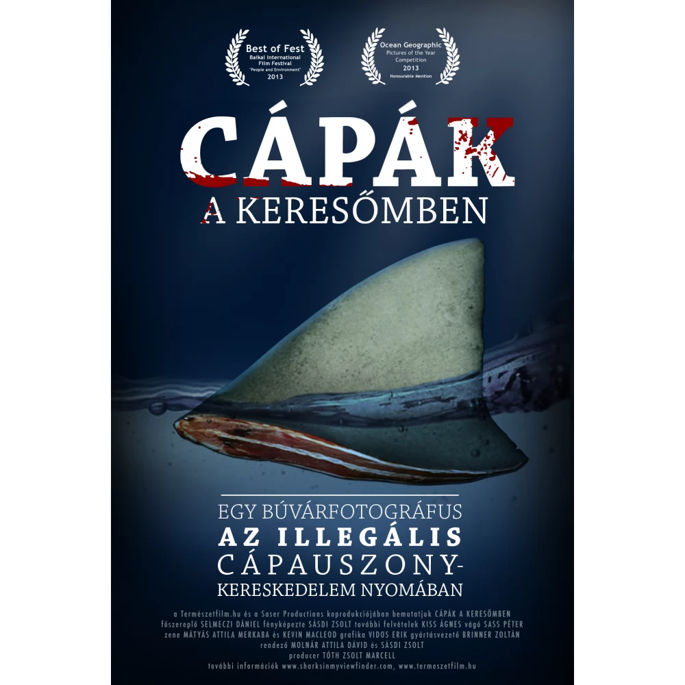Cápák a keresőmben (DVD)