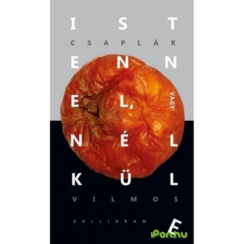 Csaplár Vilmos - Istennel vagy nélkülde