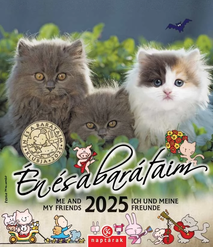 CSG Naptár fali Én és a barátaim 2025