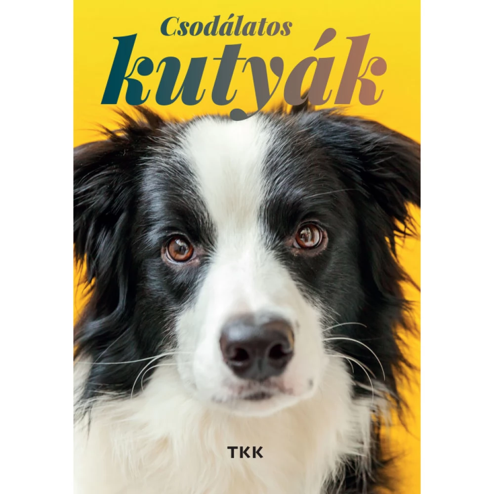 Csodálatos kutyák (2022)