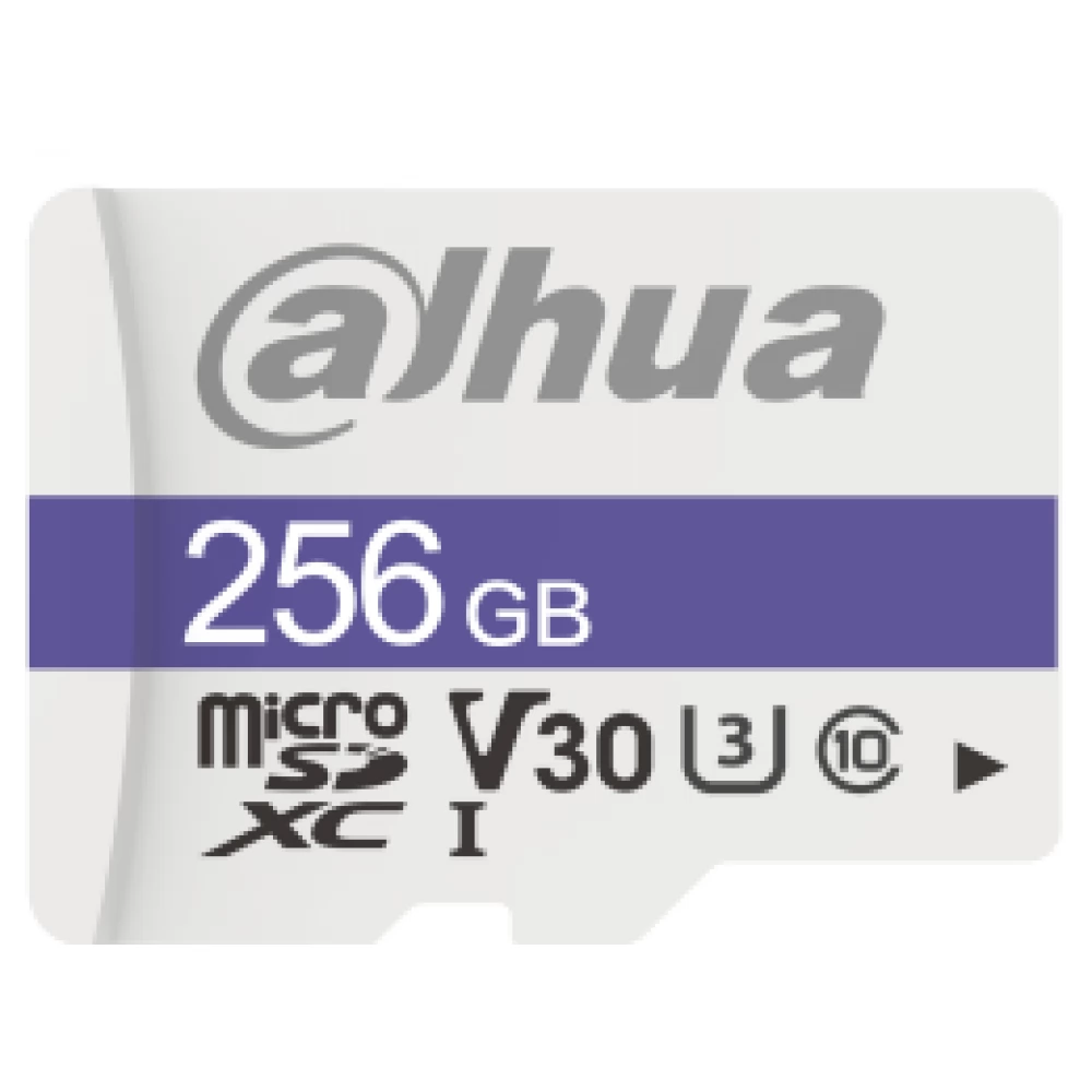 DAHUA C100 256GB MicroSDXC 40 MB/s DHI-TF-C100/256GB