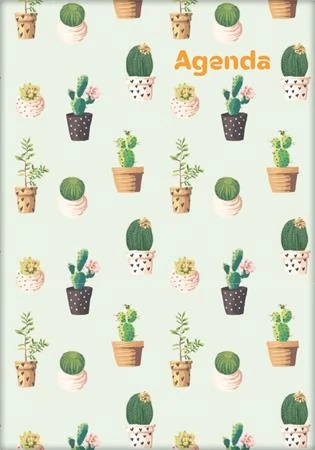 DAYLINER Colors Naptár tervező A5 heti 2025 Cactus