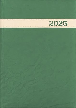 DAYLINER The Boss Naptár tervező A5 napi 2025 zöld