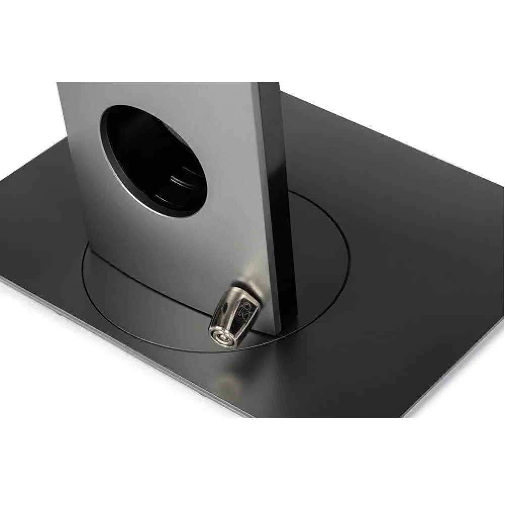 DELL Kensington Chassis Lock - System security lock