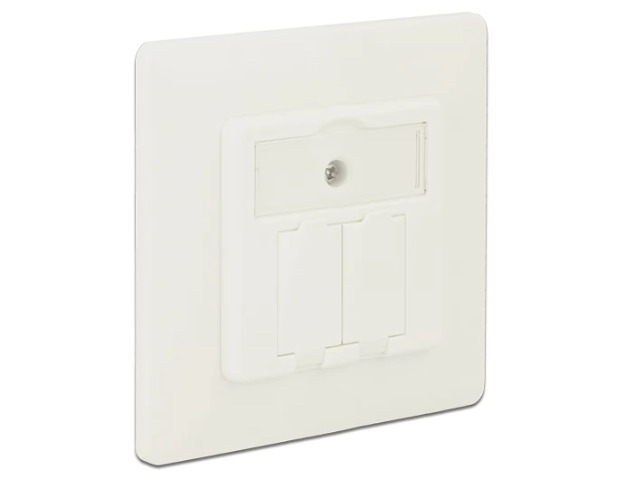 DELOCK Keystone Wall Outlet 2 Port compact
