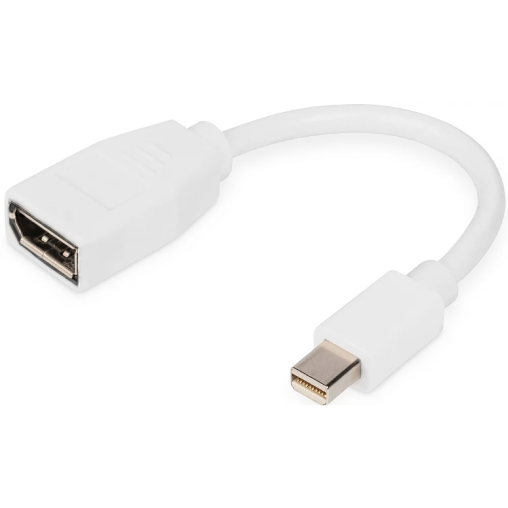 DIGITUS DisplayPort Mini DisplayPort Átalakító Fehér 15cm DB-340405-001-W