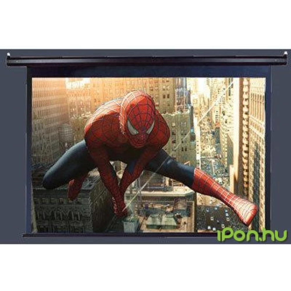 ELITESCREENS Electric120V 182.9x243.8 Spectrum Series