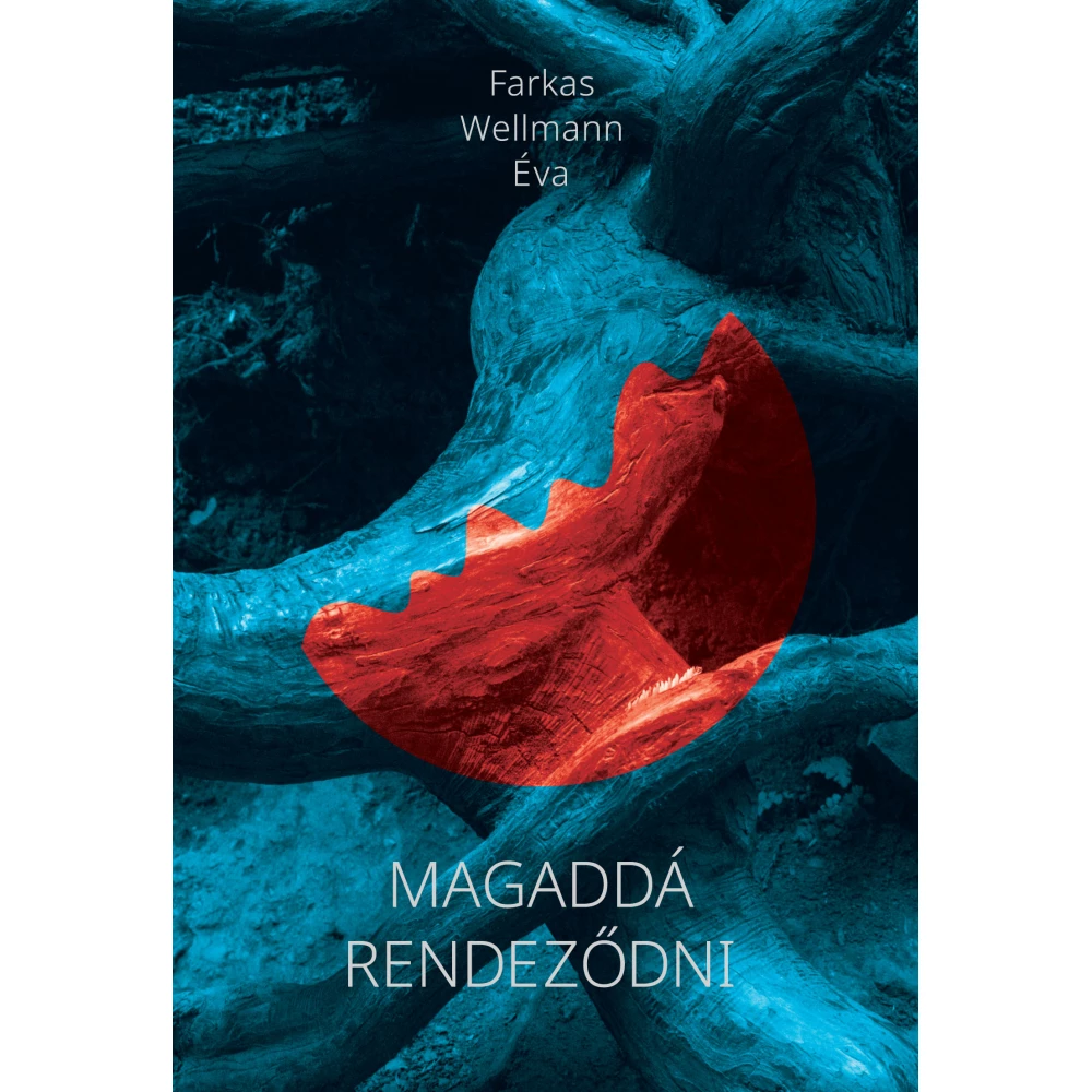 Farkas Wellmann Éva - Magaddá rendeződni