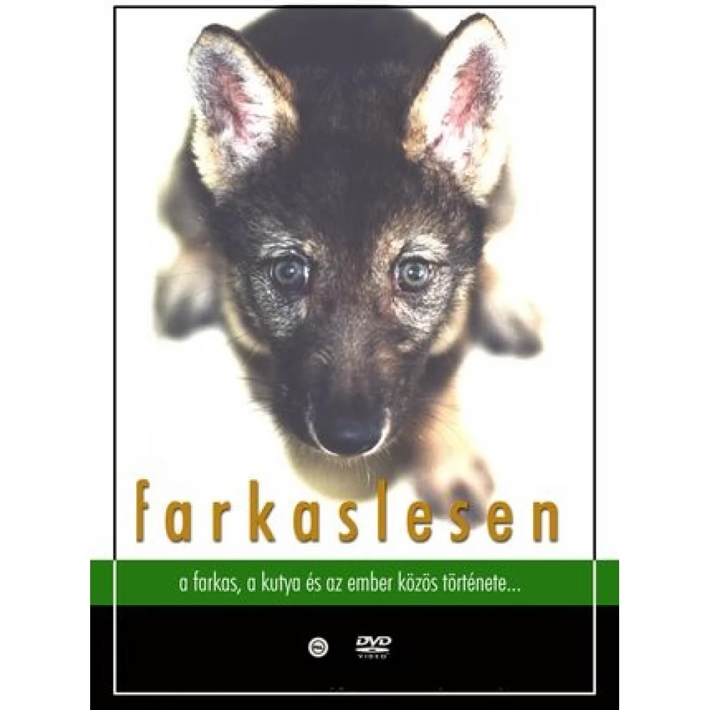 Farkaslesen (DVD)