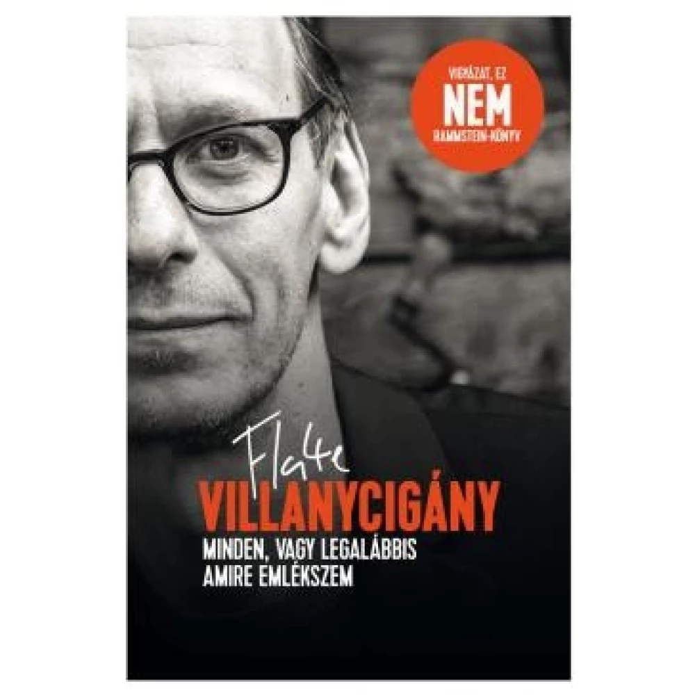 Flake Lorenz - Villanycigány - Minden vagy legalábbis amire emlékszem