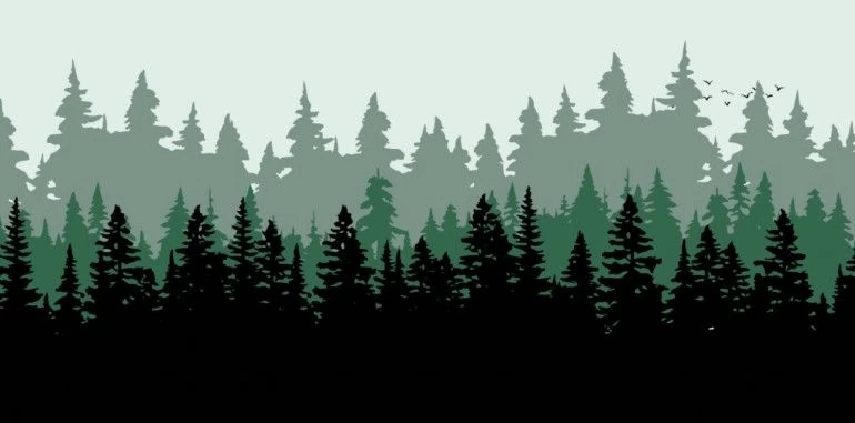 GEMBIRD Egérpad Forest XL