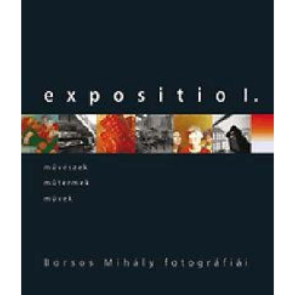 Gosztonyi Ferenc - Expositio 1. - Borsos Mihály fotográfiái