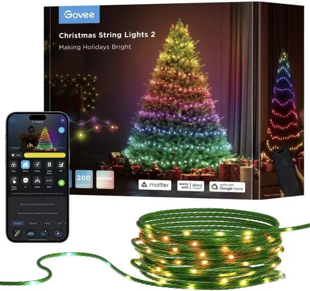 GOVEE String Lights 2S