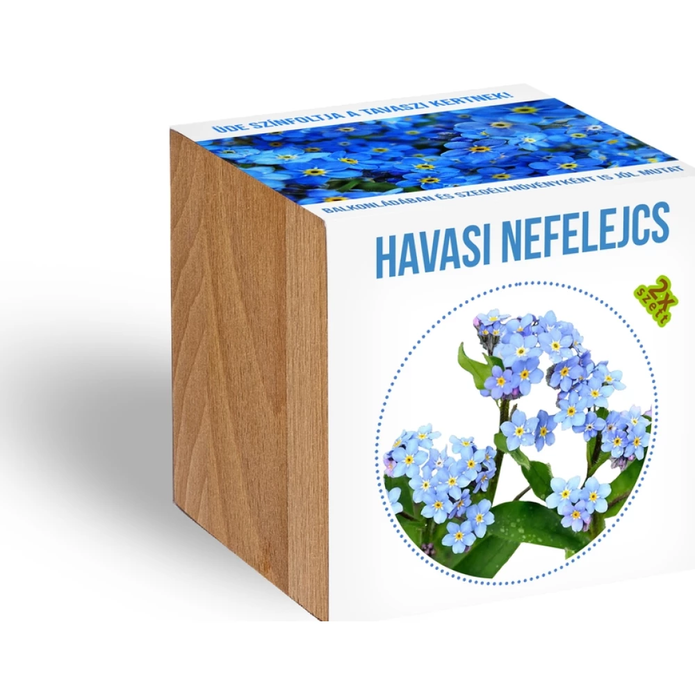 Havasi nefelejcs fa kaspóban