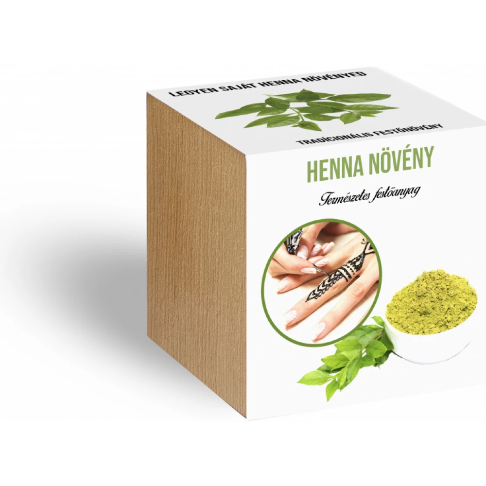 Henna növényem fa kockában