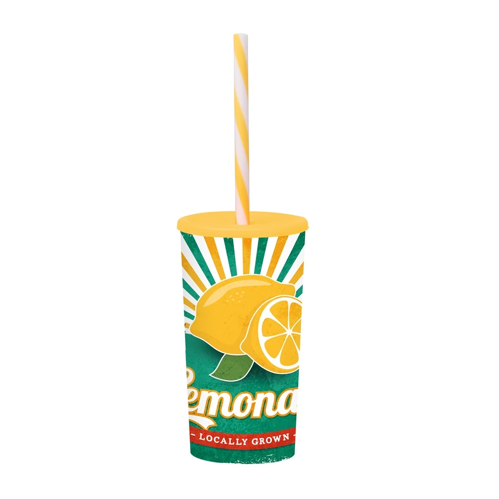 HEREVIN 161922-027P Lemonade pohár szívószállal 470ml mintás