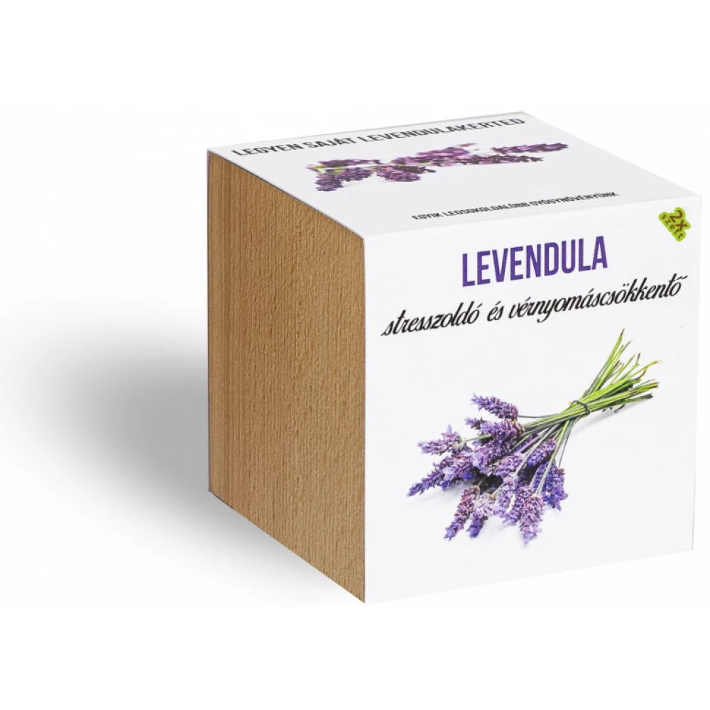 Levendula növényem fa kockában
