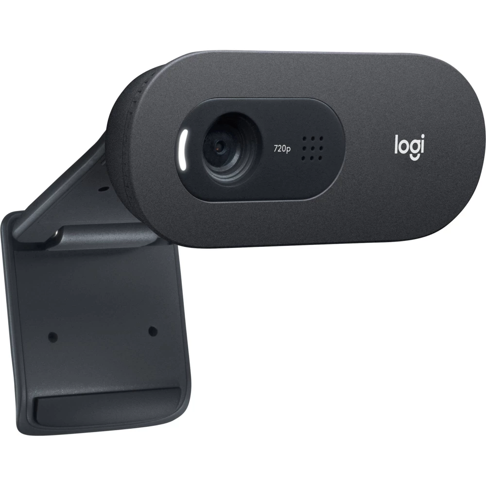 LOGITECH C505e HD webkamera