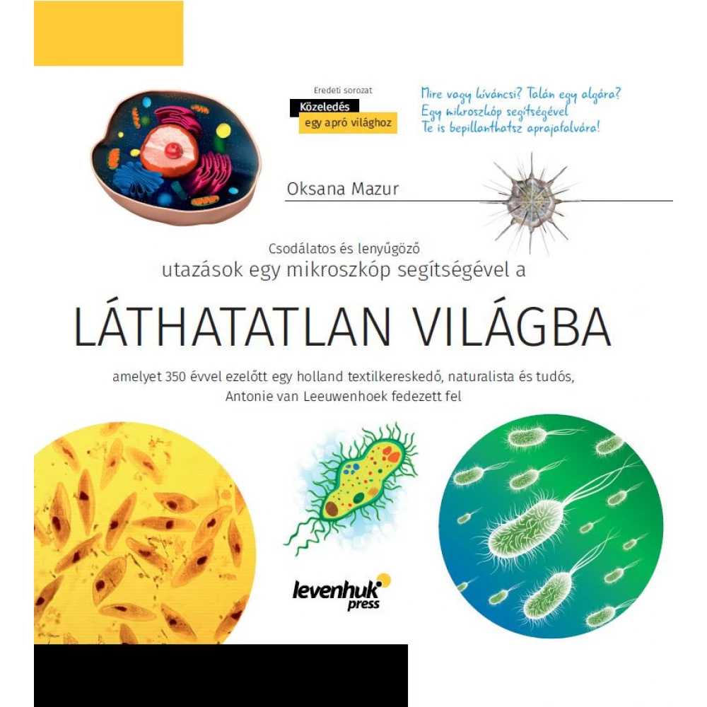 Láthatatlan világ