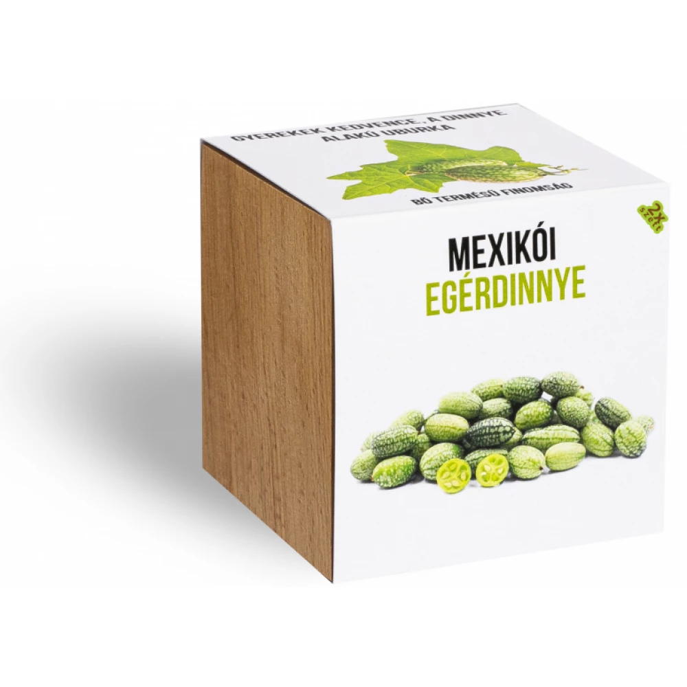 Mexikói egérdinnye növényem fa kockában