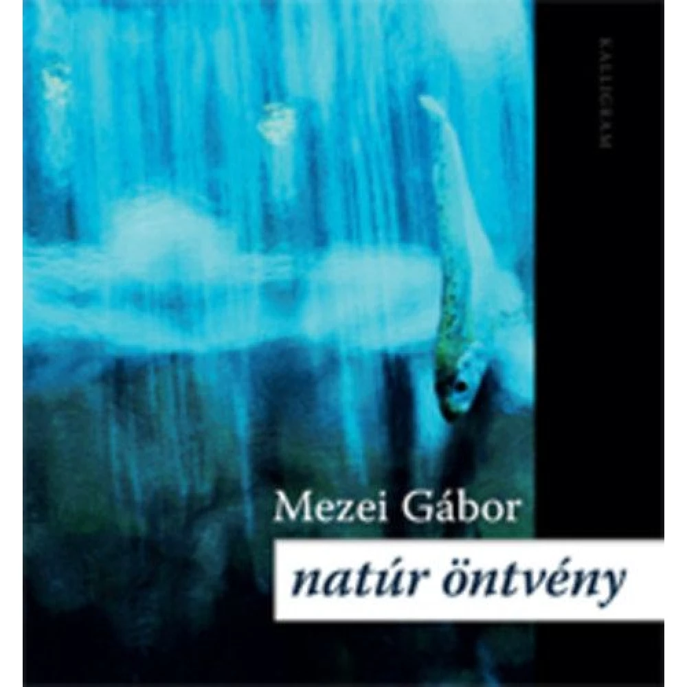 Mezei Gábor - Natúr öntvény