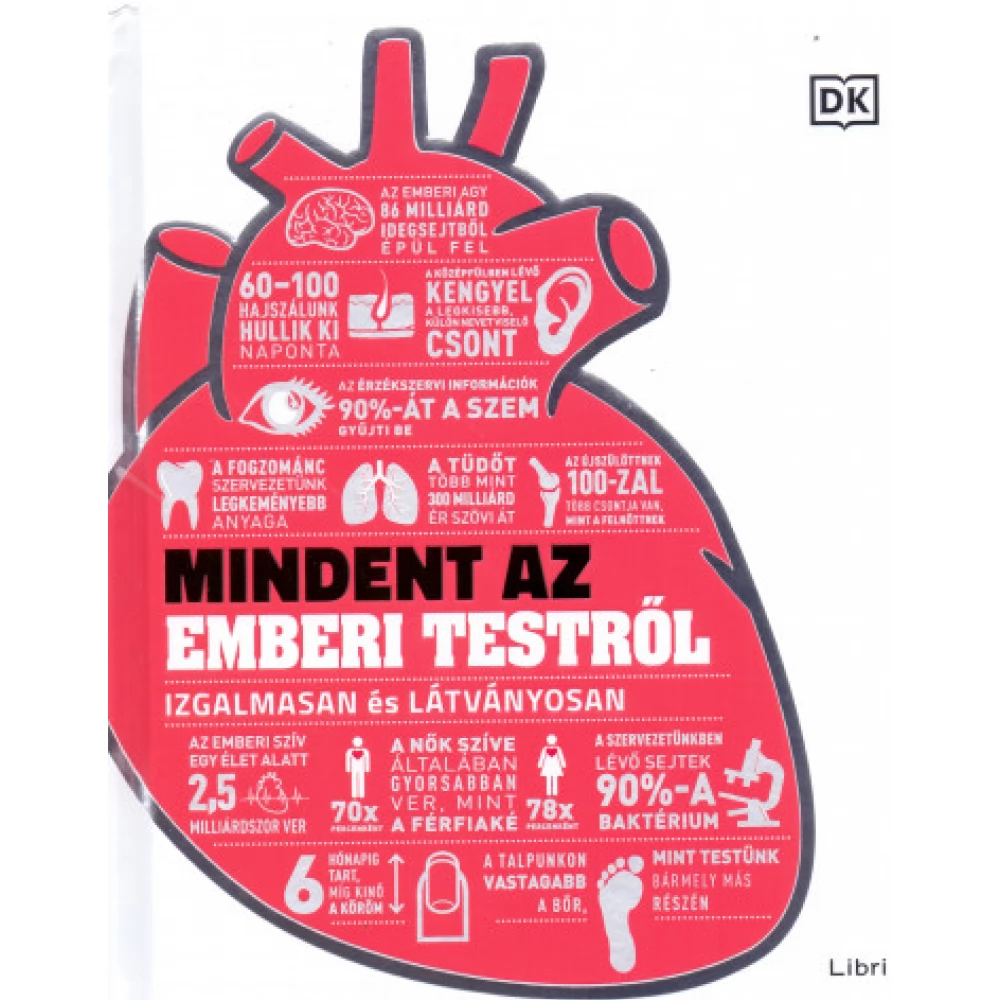 Mindent az emberi testről - Izgalmasan és látványosan