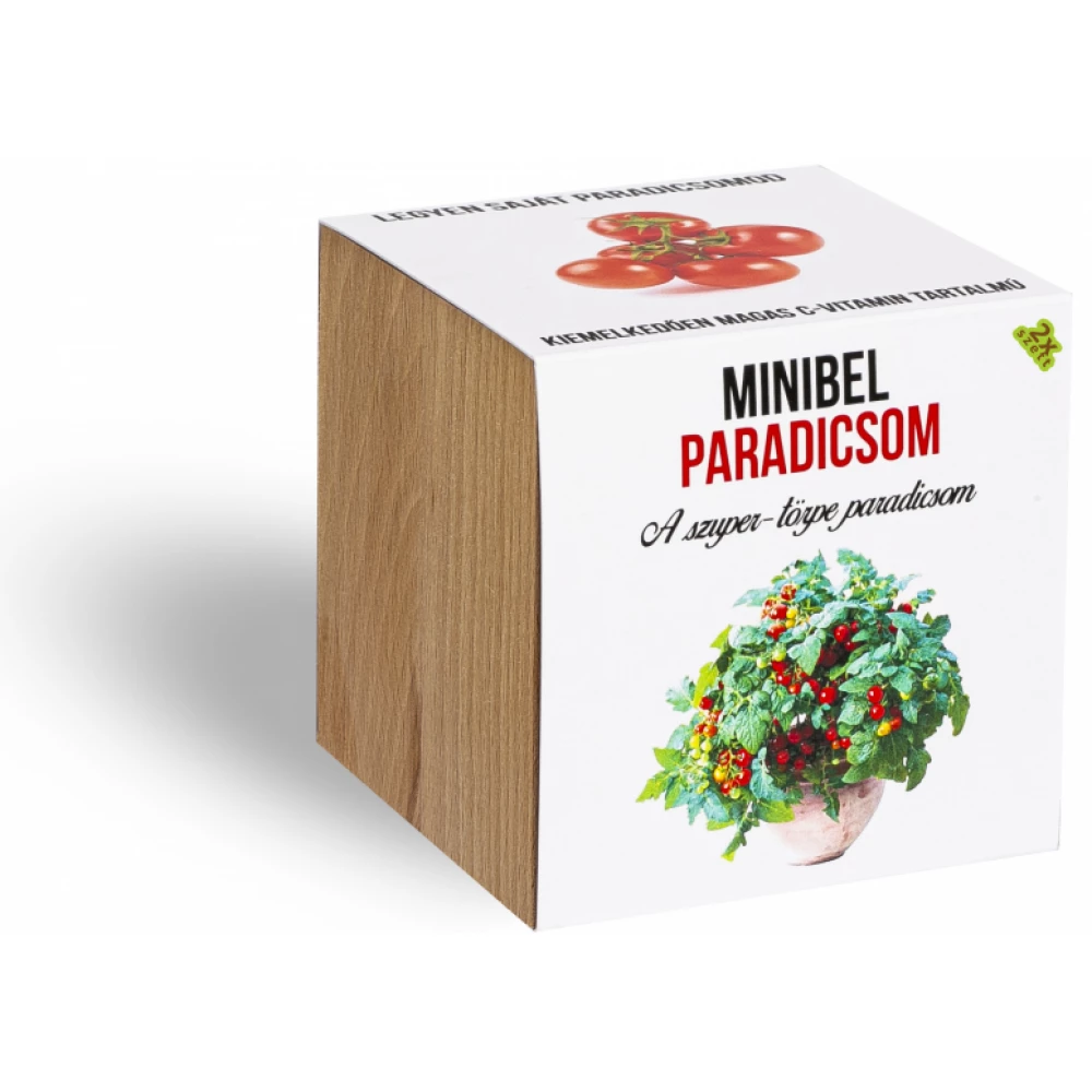 Minibel paradicsom növényem fa kockában