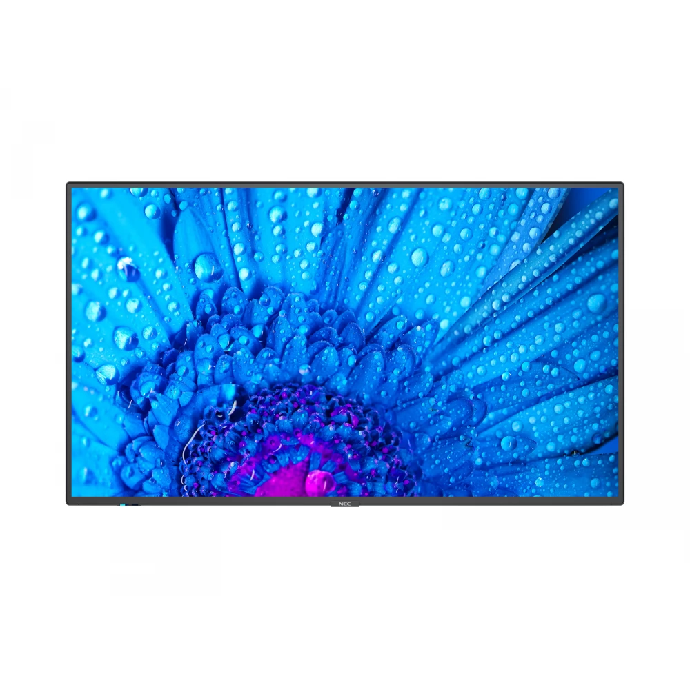 NEC MultiSync M981