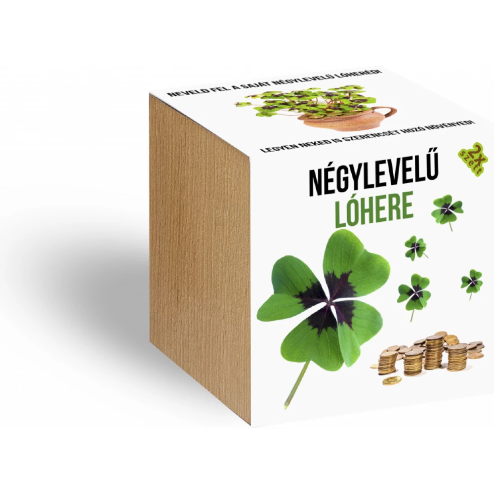 Négylevelű lóhere növényem fa kaspóban