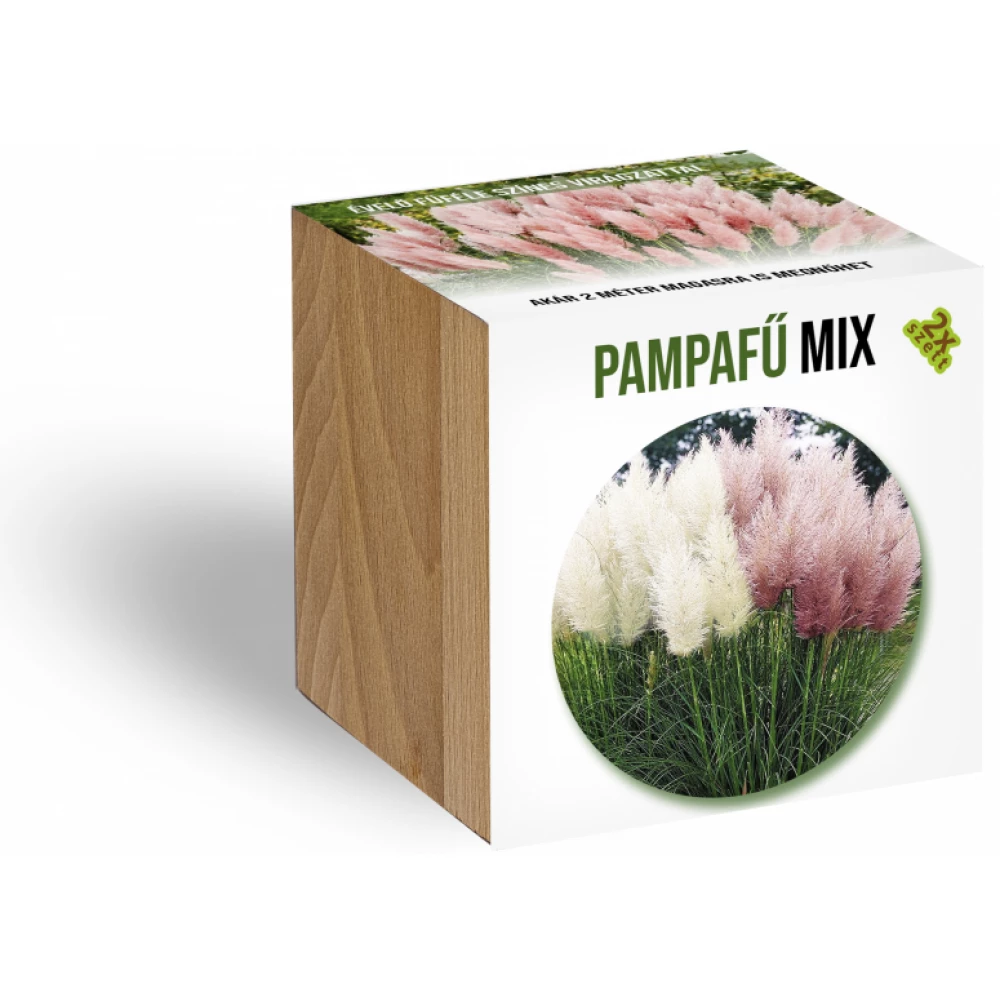 Pampafű mix növényem fa kockában