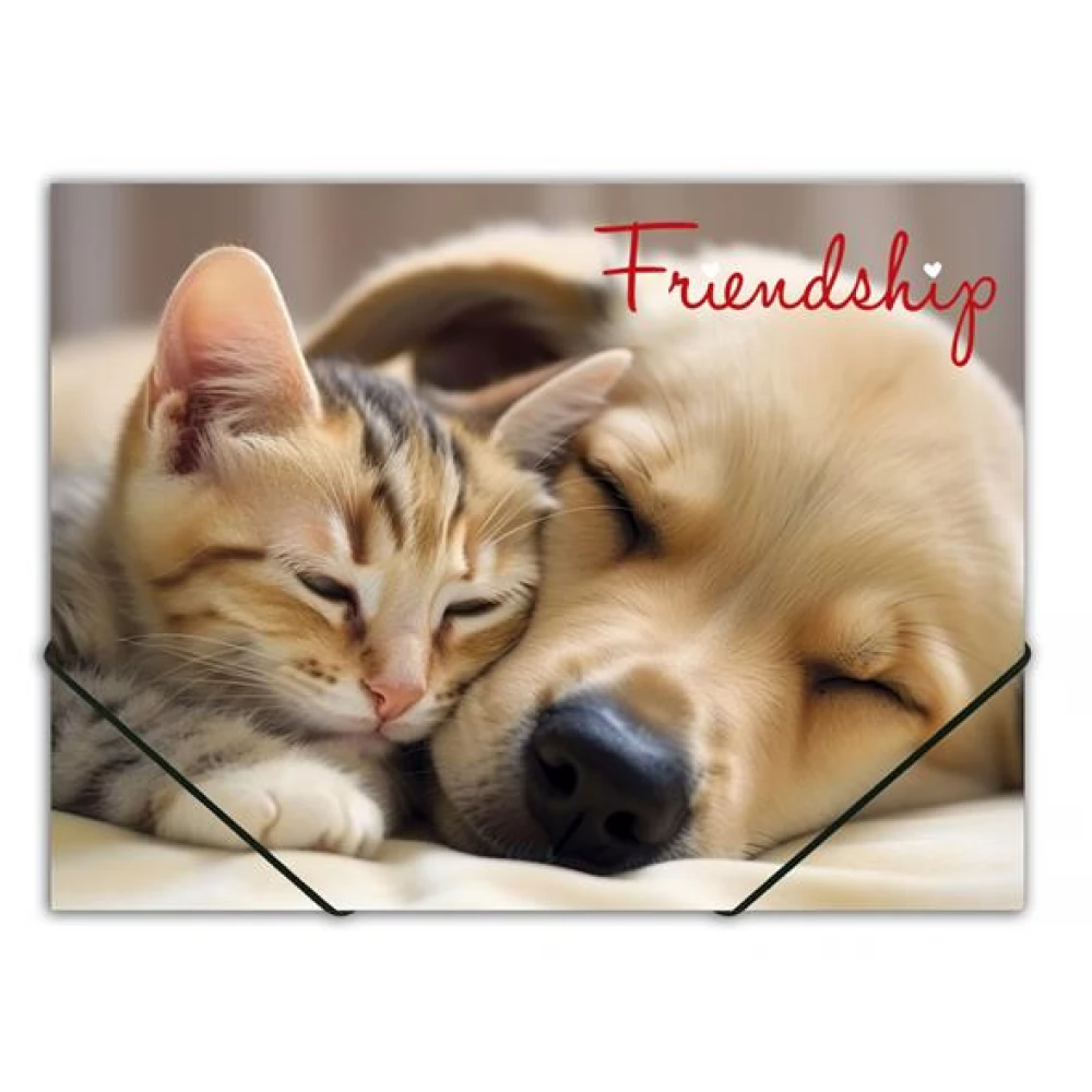 PANTA PLAST Friendship gumis mappa 15 mm PP A4