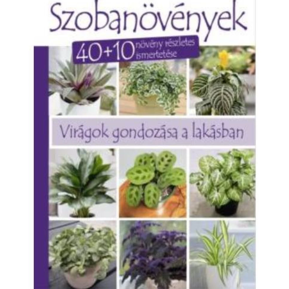 Perényi József - Szobanövények - 40+10 növény részletes ismertetése