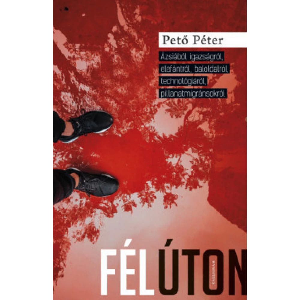 Pető Péter - Félúton (2019)