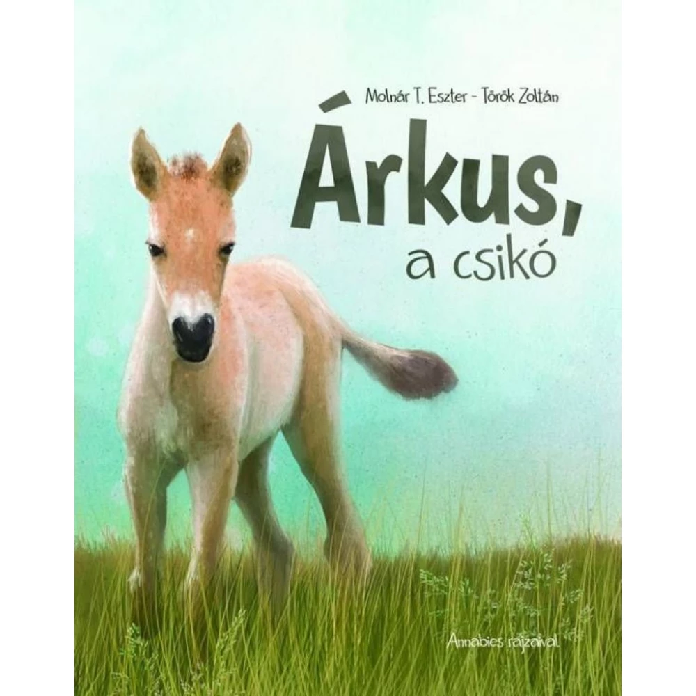 Árkus a csikó