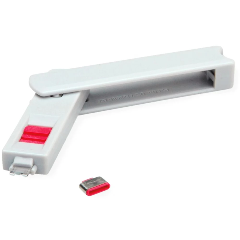 ROLINE 11.02.8333-10 Dugó biztonsági USB C + kulcs (1db dugó + 1db kulcs)