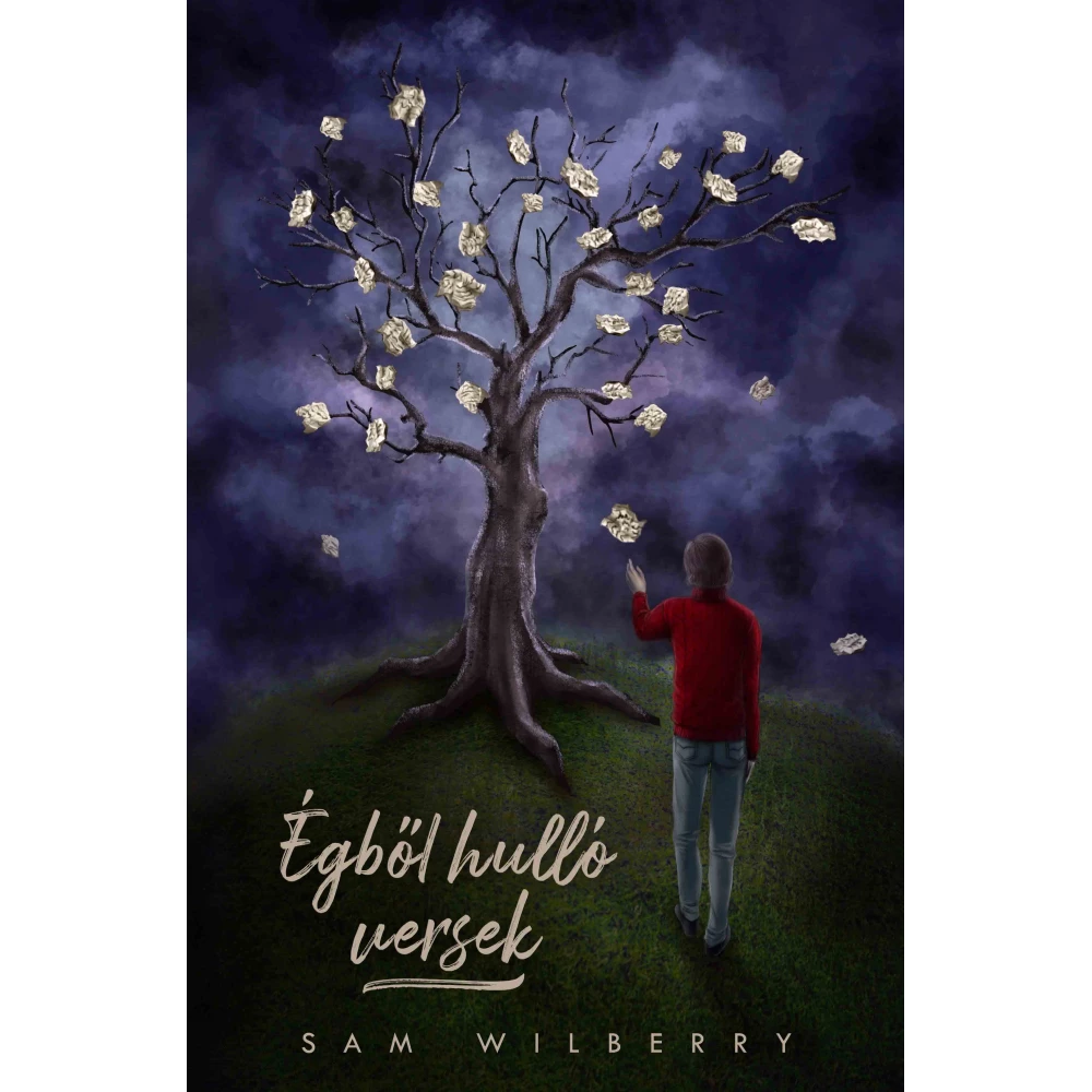 Sam Wilberry - Égből hulló versek