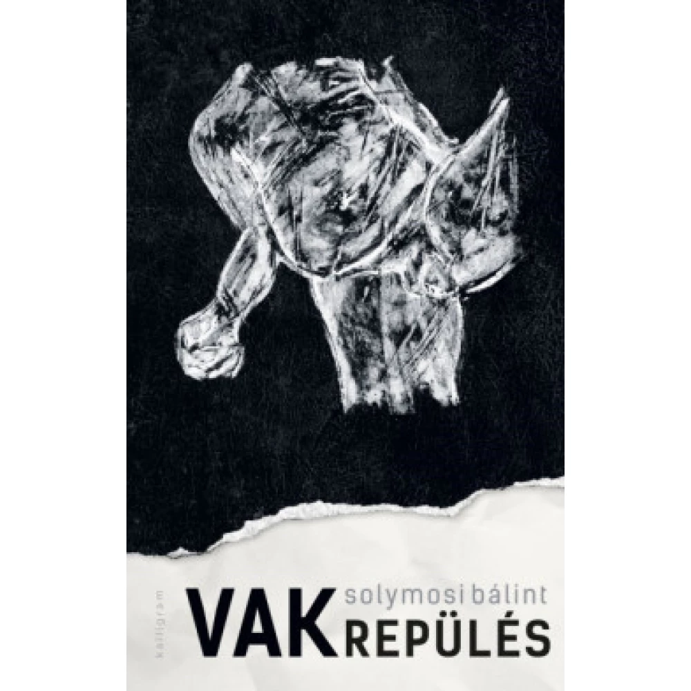 Solymosi Bálint - Vakrepülés (2019)