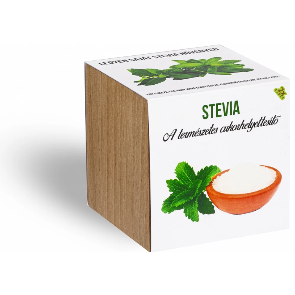 Stevia növényem fa kockában WDWR-nov-024