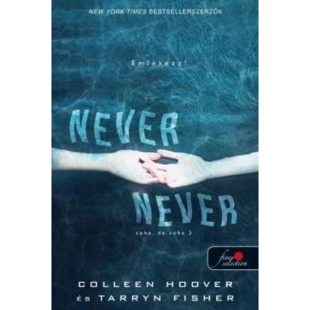 Tarryn Fisher, Colleen Hoover - Never never - Soha de soha 3