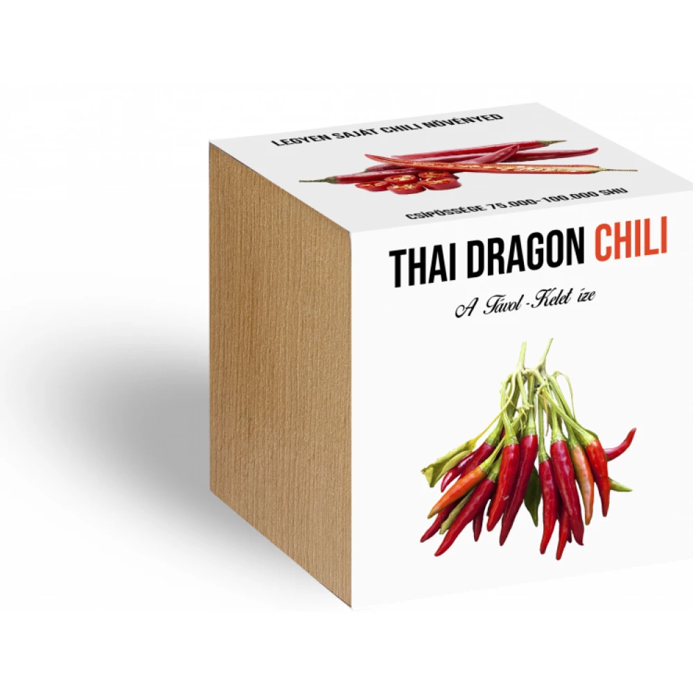 Thai Dragon chili növényem fa kockában WDWR-nov-036
