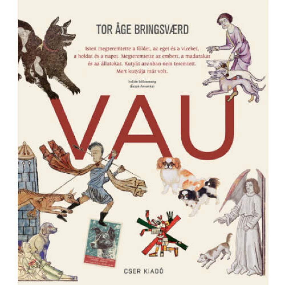 Tor Áge Bringsvaerd - Vau (2021)