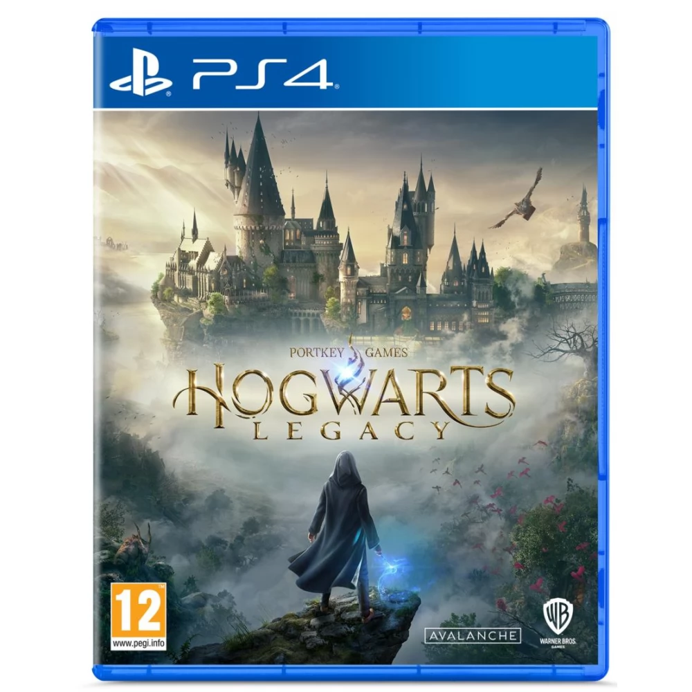 WARNER BROS Hogwarts Legacy (PS4)